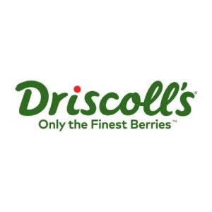 driscolls-berries